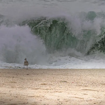 別荘 Casa Kiara Silvercoast *