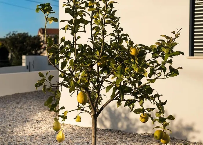 Casa Kiara Silvercoast Nadadouro