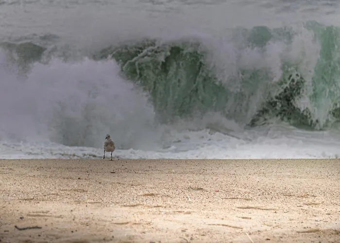 Hébergement de vacances Casa Kiara Silvercoast *