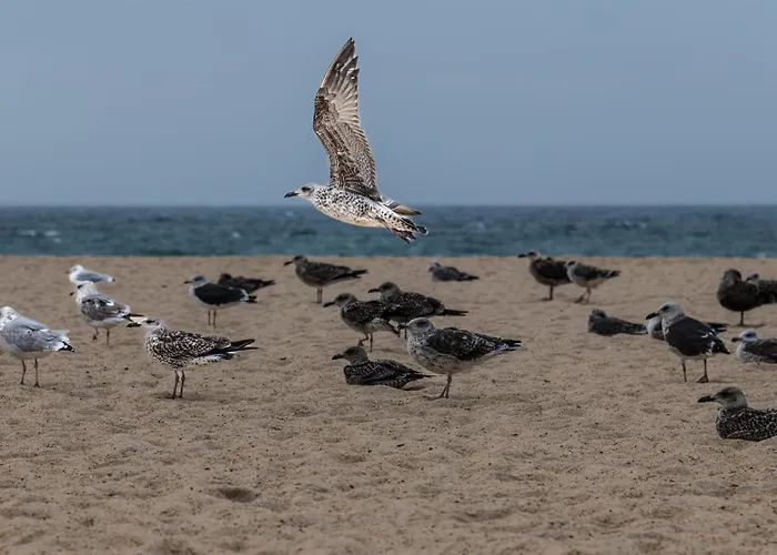 Casa Kiara Silvercoast * Nadadouro